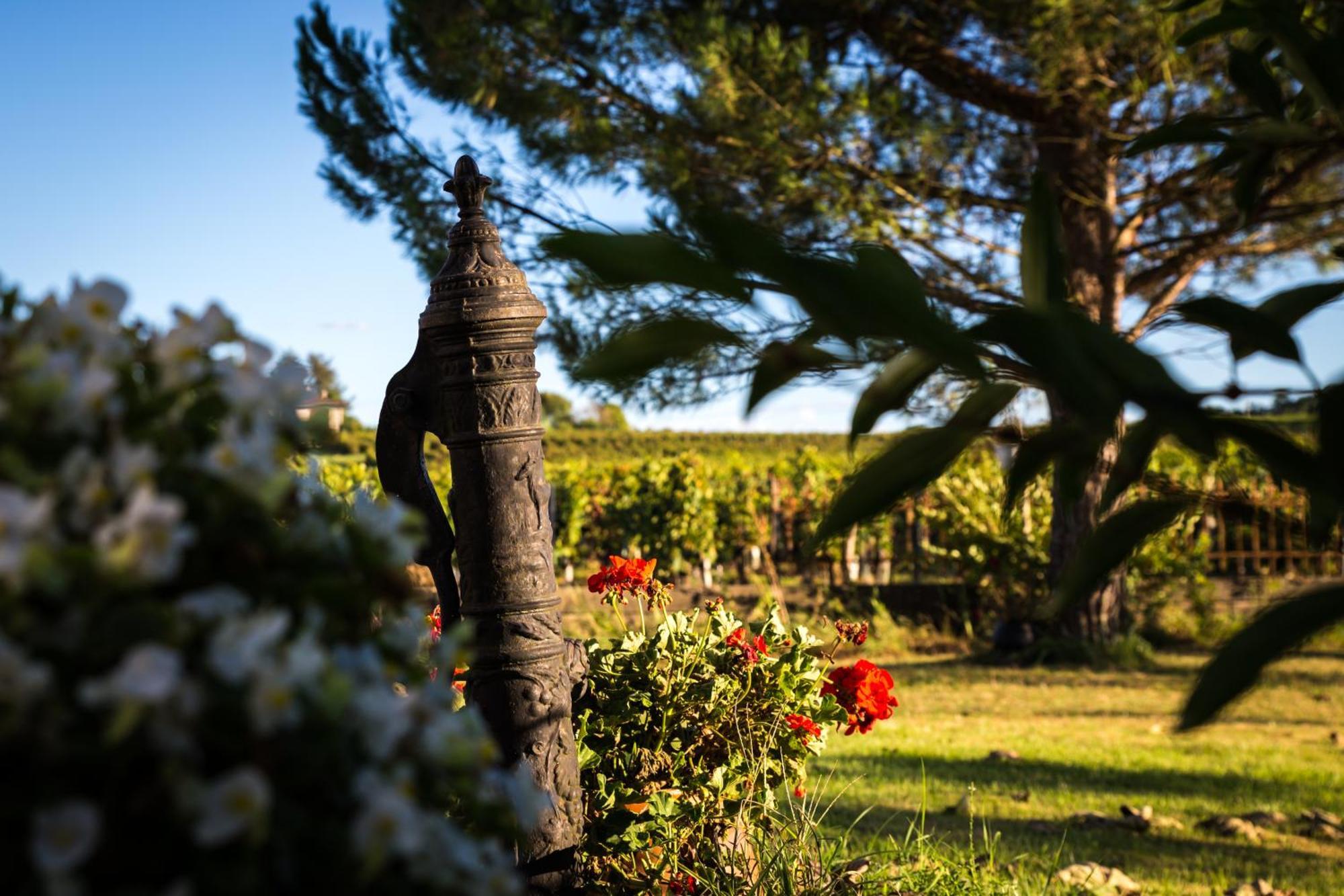 L'Hermitage D'Alienor Lugon et l’Ile du Carney Extérieur photo